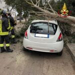 Lecce, maltempo: albero cade su auto in sosta