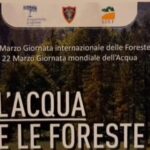 L’acqua e le foreste, in AQP Puglia tra risorse e problema xylella