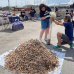 Puglia ‘liberata’ da 78kg di mozziconi di sigaretta