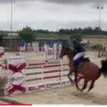 Ad Altamura i campioni regionali dello sport equestre