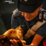 Martina Franca, cagnolina maltrattata, salvata da un carabiniere