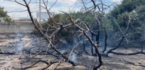 Manduria , incendio fiume Chidro