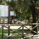 Bosco Pianelle: un finanziamento di 390 mila euro per migliorare il parco
