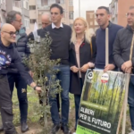 Taranto, il M5S pianta alberi nel quartiere Tamburi