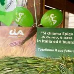 ‘Il Governo non ‘oscuri’ Granaio Italia dal D.L. Agricoltura’