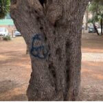 Brindisi: Ancora vandali nel giardino dedicato a Melissa Bassi