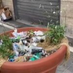 Bari, degrado in via Manzoni: rifiuti accumulati sulle piante