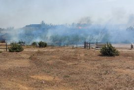 Regione, oltre 6 milioni di euro ad Arif per incendi boschivi