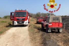 Lecce, fiamme a ridosso del Parco Naturale del Rauccio: Vigili del Fuoco al lavoro