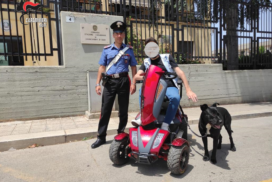 Sannicandro di Bari, giovane disabile si impantana e ribalta nelle campagne: lo salvano i carabinieri