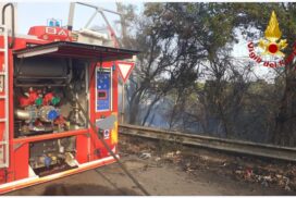 Brindisi, incendio sterpaglie a Costa Morena: dodici vigili del fuoco sul posto