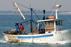Crisi pesca: sindaci di Bisceglie, Trani, Molfetta, Mola di Bari e Monopoli scrivono al governo