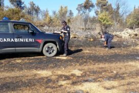 Incendi: bruciano 150 ettari dal Gargano a Grottaglie