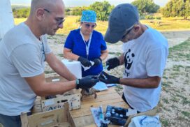Massafra, liberate tartarughe di terra ferite e guarite: parte monitoraggio con radio tracking