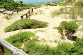 Porto Cesareo: Dune discariche a cielo aperto, sequestrata area