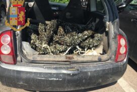 Taranto: Sequestrati 60 kg di cozze