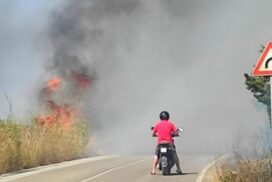 Incendi: nel Leccese in fumo 40 ettari di macchia mediterranea