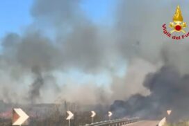 Brindisi, a fuoco canneto vicino Cerano: fumo raggiunge la statale. Traffico rallentato