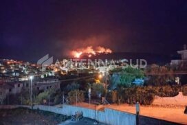 Carpino, brucia la collina di Pastromele: fiamme lambiscono case. Il sindaco: "Criminali"
