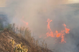 Salento: Vasto incendio, a fuoco macchia mediterranea